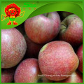 Golden Apple factory supply best quality low price apple